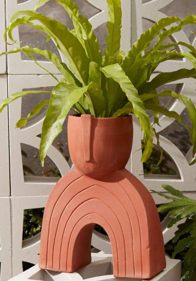 Jacinto Planter