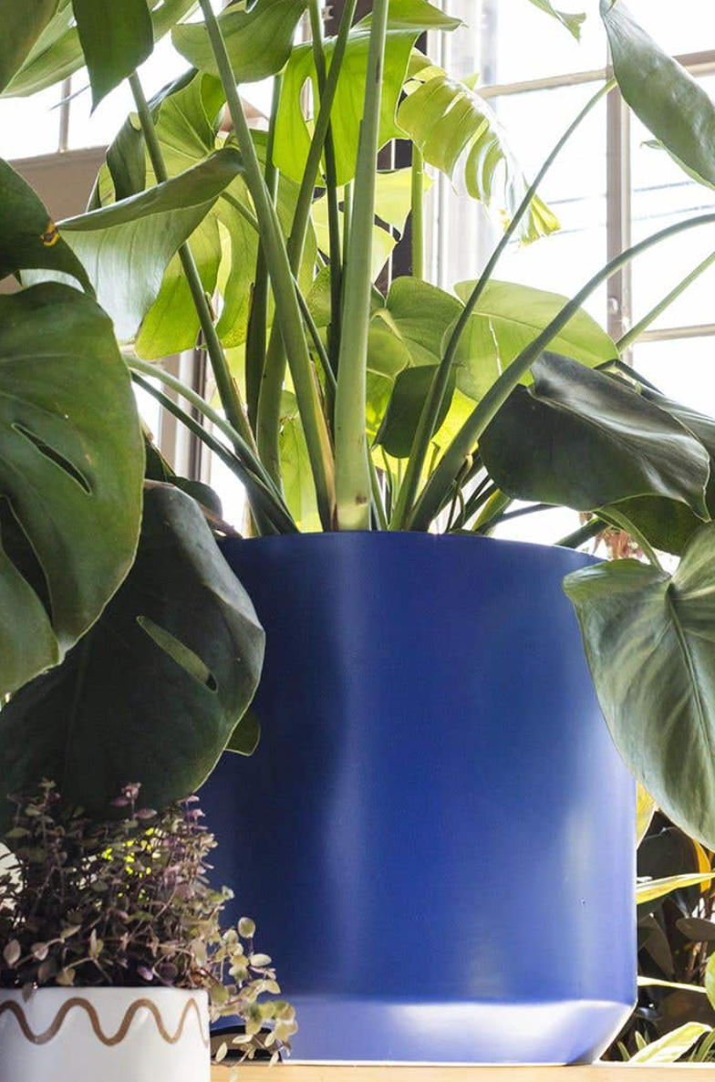 Kendall Pot Large