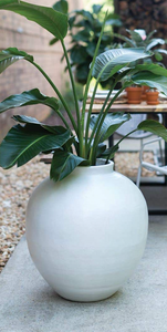 Santorini Vase